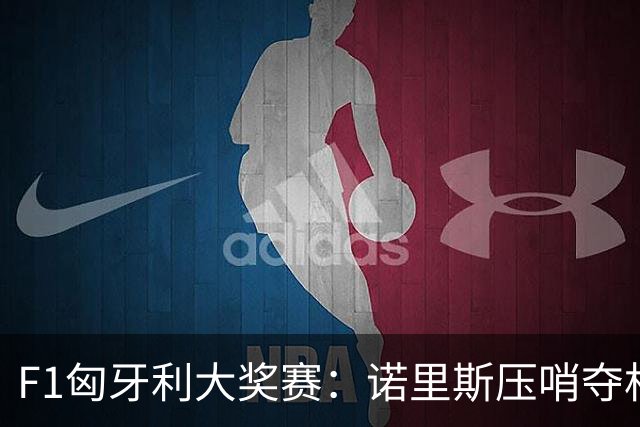 F1匈牙利大奖赛：诺里斯压哨夺杆